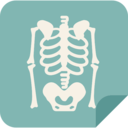 medical,bones,x ray,skeleton,x rays